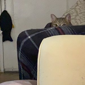 Meet your Posher, Wilbert